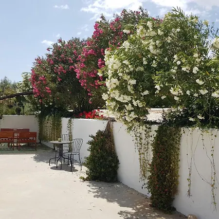 Apartment Casita Of Casa Olivar Tocon