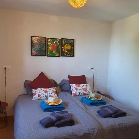 Casita Of Casa Olivar *