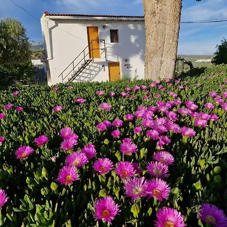 Casita Of Casa Olivar Apartment Tocon